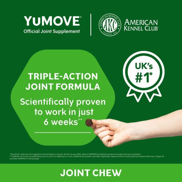 YuMOVE Daily Chews | Hip and Joint Supplement for Small & Medium Dogs with Glucosamine, Hyaluronic Acid, Green Lipped Mussel | 60 Chews - 1 Month's Supply - Image 2