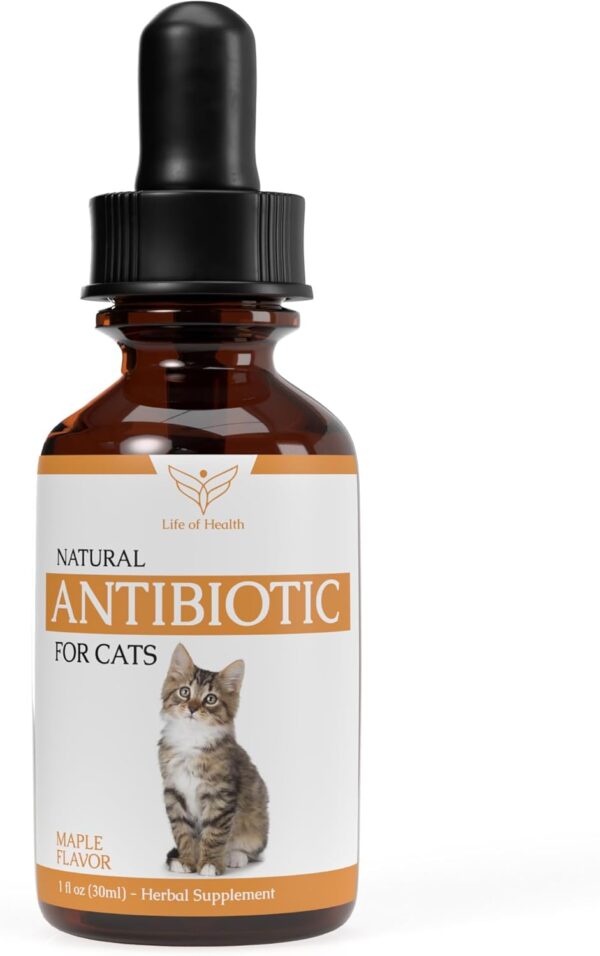 Natural Antibiotics for Cats - Cat Antibiotics - Cat Antibiotic - Pet Antibiotics - Cat Immune Support - Antibiotic for Cats - Cat Multivitamin - Cat UTI Antibiotics - (2 Pack)