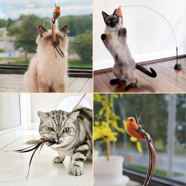 Leo's Paw The Original Interactive Bird Simulation Cat Toy Set Realistic Colorful Feathers Bells Wand Self-holding Suction Base Stimulating Real-Life Flying Bird Impression Hunting Play (w. 5 Birds) - Image 3