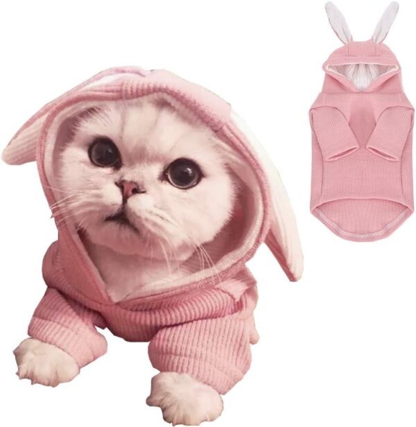 ANIAC Dog Hoodies Sweatshirt with Bunny Ears Spring Puppy Clothes for Small Dog Girl Boy Soft Doggy Sweater Cat Apparel Pet Clothing for Kitten Pomeranian Chihuahua (Medium, Pink)