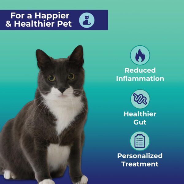 Cat Gut Health Test Kit - Comprehensive At-Home Digestive Evaluation for Cats - Fast Digital Results, Expert Panel Insights - Image 3