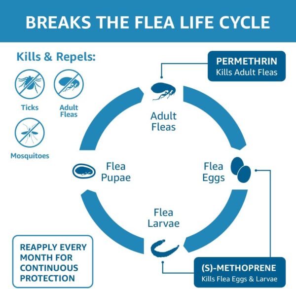 Amazon Basics Flea, Tick & Mosquito Topical Treatment for Medium Dogs (11-20 pounds), 6 Count (Previously Solimo) - Image 4