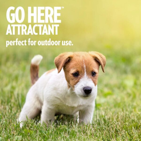 OUT! PetCare Go Here Attractant Indoor and Outdoor Dog Training Spray - House-Training Aid for Puppies and Dogs - 32 oz - Image 4