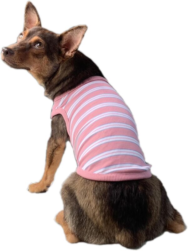 YQYS Dog Shirts Multi-Color Striped Cotton Vest for Small Dogs and Cats Puppy Clothes Teacup Dog Clothing Tank Top for Chihuahua Miniature Pinscher Pink XSmall - Image 4