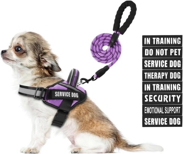 Service Dog Harness and Leash Set, XS, Purple, with 10 Patches, Reflective, for Small Dogs