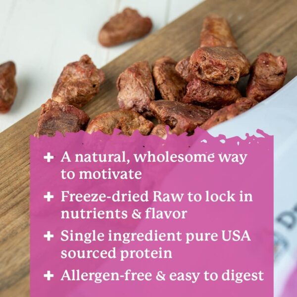 Dr. Harvey's Chicken Hearts Freeze Dried Training Dog Treats with Real Chicken Hearts for Dogs, 7 Ounces - Image 5