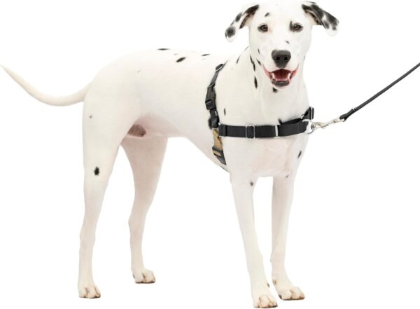 PetSafe Easy Walk No-Pull Dog Harness - The Ultimate Harness to Help Stop Pulling - Take Control & Teach Better Leash Manners - Prevent Pets Pulling Medium/Large, Black/Silver