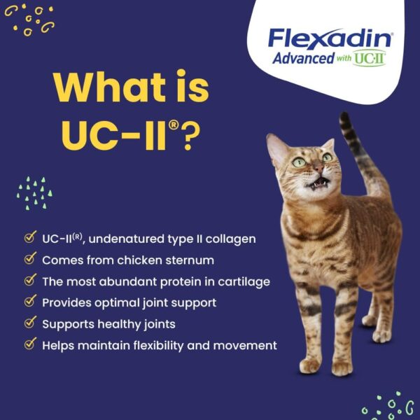 Vetoquinol Flexadin Advanced Dog Hip and Joint Supplement with UC-II Collagen, One Chew a Day Hip and Joint Support Chew for Dogs and Cats, Clinically Proven Vet-Approved Formula, 30 Chews - Image 4