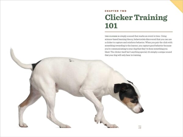 Clicker Training for Dogs: Master Basic Training, Common Cues, and Fun Tricks in 15 Minutes a Day - Image 4