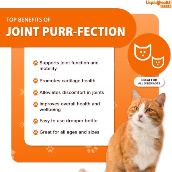 LIQUIDHEALTH 2.3 Oz Liquid Cat Glucosamine Joint Purr-Fection - Hip and Joint Support, Chondroitin Feline Droppers - Senior Older Cats, Kittens - Image 4