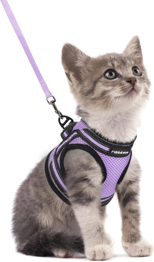 rabbitgoo Cat Harness and Leash Set for Walking Escape Proof, Adjustable Soft Kittens Vest with Reflective Strip for Cats, Comfortable Outdoor Vest, Light Purple, S