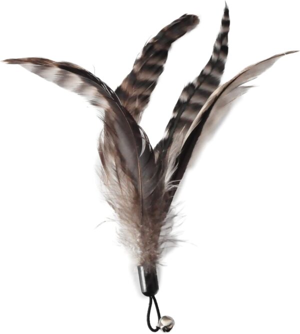 Cat Toys - No Chemical Dyeing Cat Feather Toys for Indoor Cats - Include Cat Wand and Natural Feather Refills - Image 6