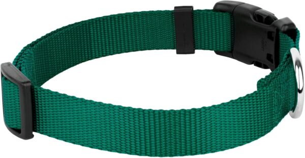 Country Brook Design - 33 Vibrant Colors - American Made Deluxe Nylon Dog Collar with Buckle (Large, 1 Inch Wide, Green) - Image 7