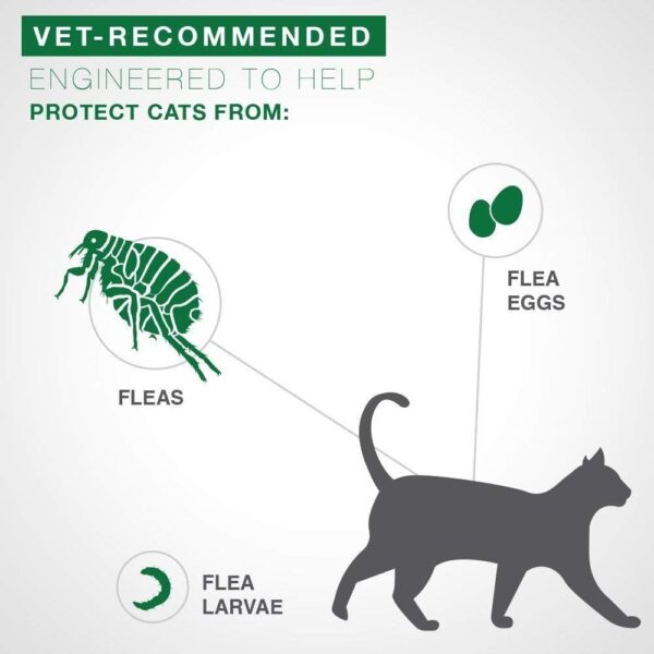 Bayer Advantage II Flea Prevention for Large Cats 6 Doses, 6 Months Supply 2 Pack Bundle - Image 3