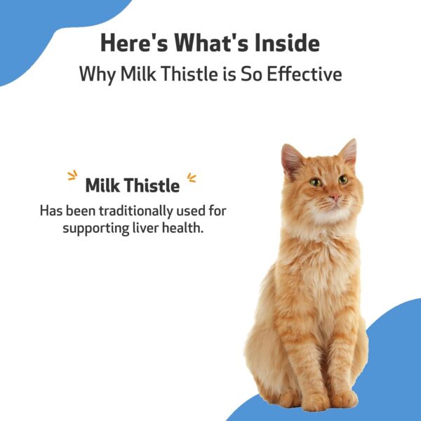 Pet Wellbeing Milk Thistle for Cats - Supports Liver Health, Protects Liver - Glycerin-Based Natural Herbal Supplement - 2 oz (59 ml) - Image 5