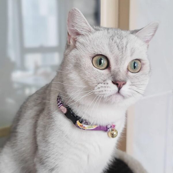 PetSoKoo Cat Collar with Kitty Face Bell. Cute Japan Chirimen Kitten Collar. Soft & Lightweight. - Image 4