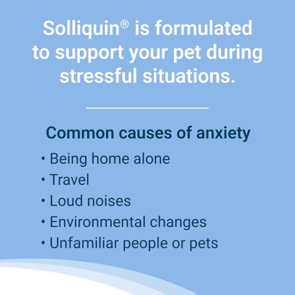 Nutramax Solliquin Calming Behavioral Health Supplement for Small to Medium Dogs and Cats - with L-Theanine, Magnolia/Phellodendron, and Whey Protein Concentrate, 75 Soft Chews - Image 4