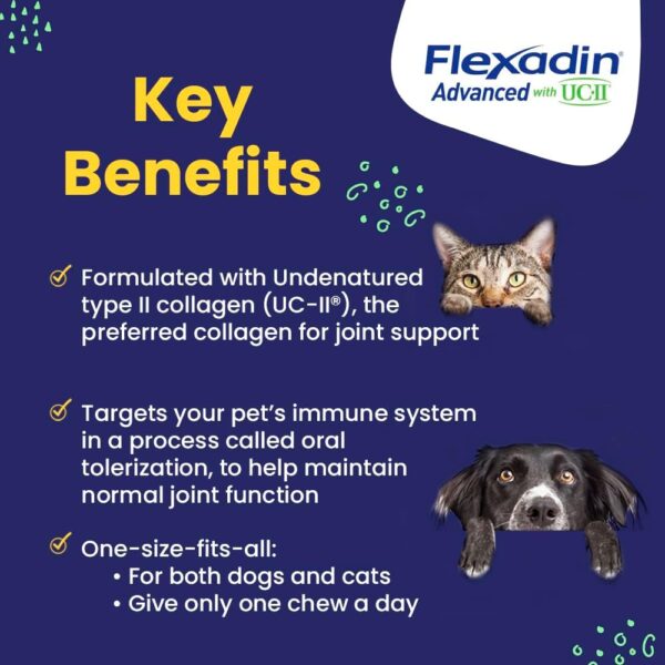 Vetoquinol Flexadin Advanced Dog Hip and Joint Supplement with UC-II Collagen, One Chew a Day Hip and Joint Support Chew for Dogs and Cats, Clinically Proven Vet-Approved Formula, 30 Chews - Image 2