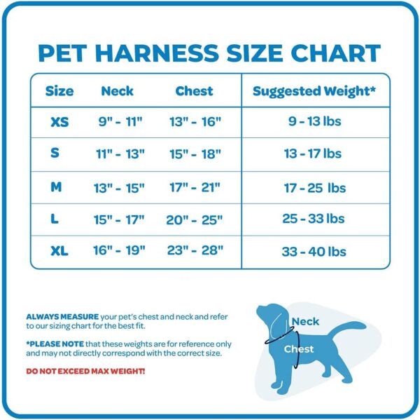 Best Pet Supplies Voyager Adjustable Dog Harness with Reflective Stripes for Walking, Jogging, Heavy-Duty Full Body No Pull Vest with Leash D-Ring, Breathable All-Weather - Harness (Turquoise), S - Image 4