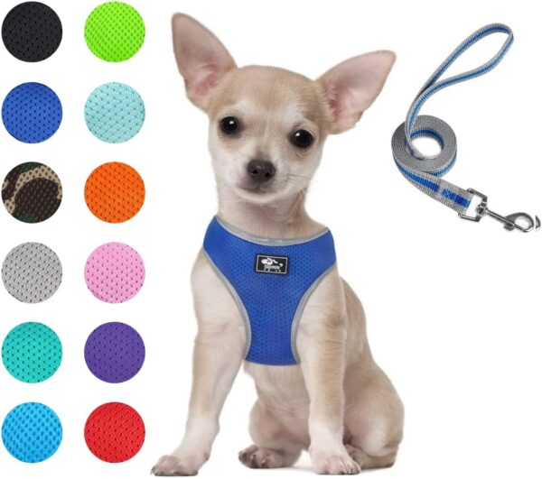 Puppy Harness and Leash Set - Dog Vest Harness for Small Dogs Medium Dogs- Adjustable Reflective Step in Harness for Dogs - Soft Mesh Comfort Fit No Pull No Choke (XS, Blue)