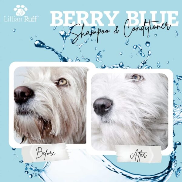 Lillian Ruff Berry Blue Brightening Face and Body Wash for Dogs - Blueberry Shampoo - Remove Tear Stains, Hydrate Dry Itchy Skin, Add Shine & Luster to Coats (Berry Blue Shampoo & Conditioner Set) - Image 4