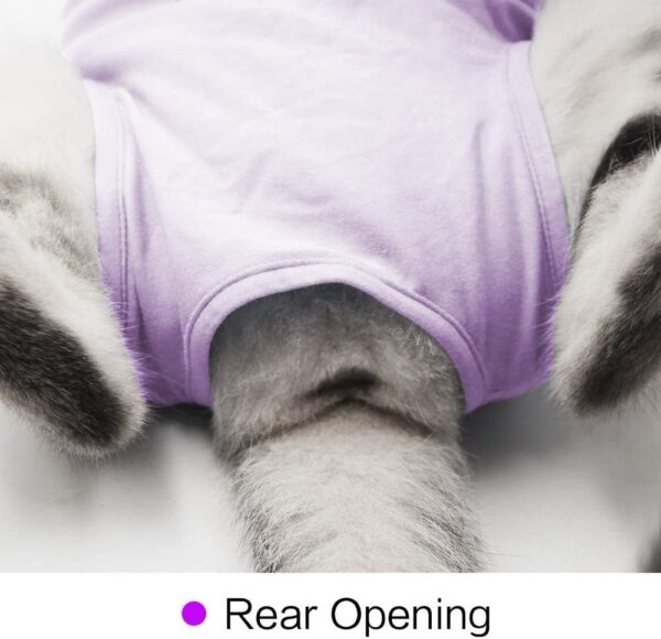 Cat Surgery Recovery Suit Cat Onesie for Cats after Surgery Spay Surgical Abdominal Wound Skin Diseases E-Collar Alternative Wear (Purple-L) - Image 5