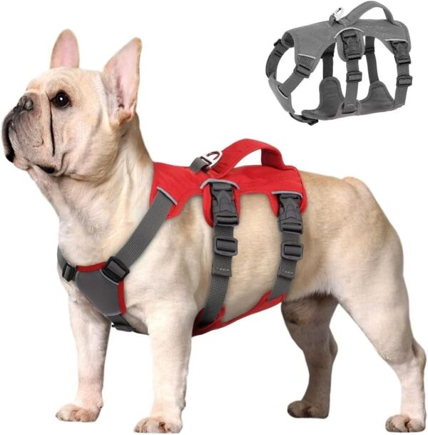 Beirui Escape Proof Dog Harness for Small Medium Large Dogs, Reflective Dog Harness No Pull with Padded Handle, Waterproof Dog Harness for Daily Walking Training (Red,Chest 10-18”)