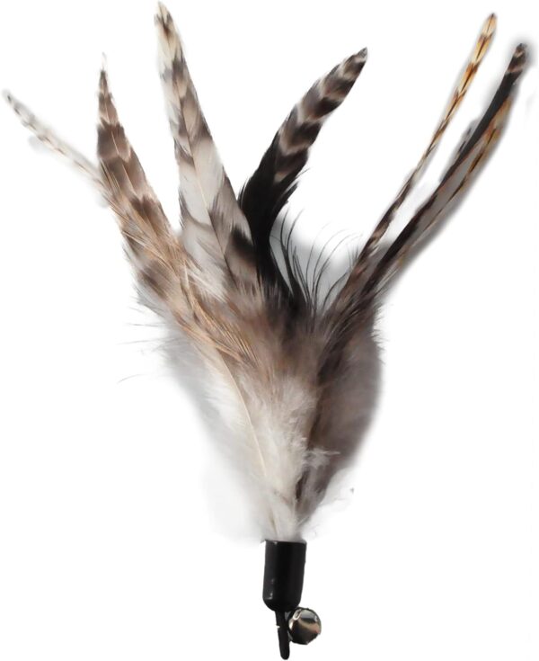 Cat Toys - No Chemical Dyeing Cat Feather Toys for Indoor Cats - Include Cat Wand and Natural Feather Refills - Image 8