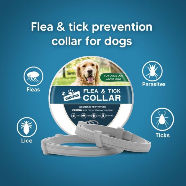 Dog Flea Tick Collar, Flea & Tick Prevention for Dogs, 8 Months Protection Dog Flea Collar, Adjustable Collar Fits Large Dogs & Puppies, Flea Treatment Collar for Dogs 2 Pack - Image 2