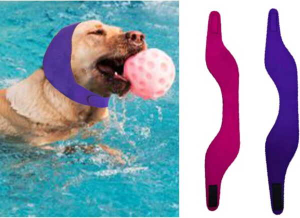 Dog Swim Cap Plugs 2Pcs Waterproof All-Weather Snood for Bathing Rainy Days Swimming - Ear Protector and Travel Supply for Small Medium Large Dogs Puppies (1 Pink 1 Purple,L)