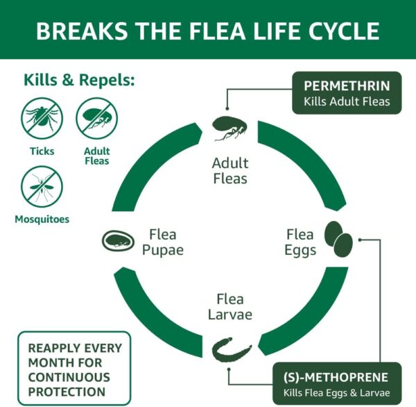 Amazon Basics Flea, Tick & Mosquito Topical Treatment for Small Dogs (4-10 pounds), 6 Count (Previously Solimo) - Image 4