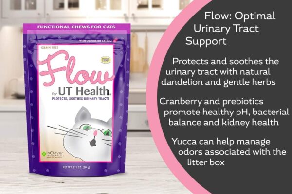 In Clover Flow Soft Chews for Daily Support for UT Health in Cats, Scientifically Formulated with Natural Ingredients for a Healthy Urinary Tract. 2.1oz. (60gm) - Image 4