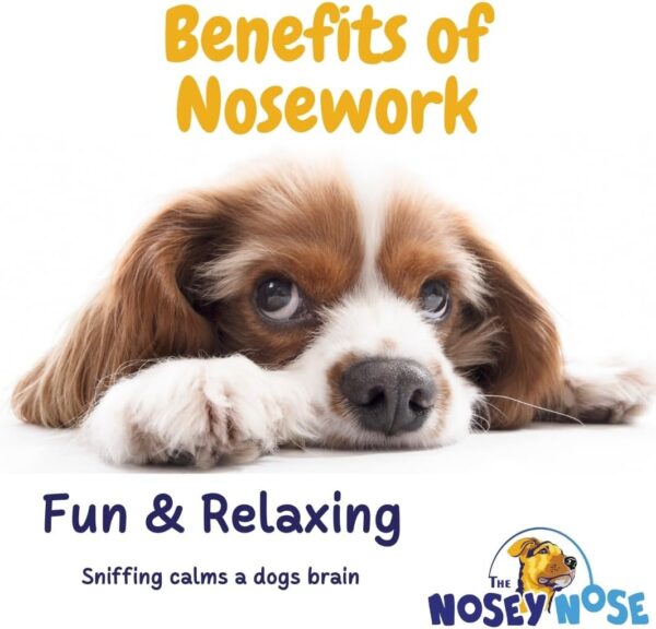 Dog Scent Training Kit - Anise Scent Zipper Pouch with Bag & Brain Puzzle Games - Nosework Scentwork Games for All Ages Dog - Image 5