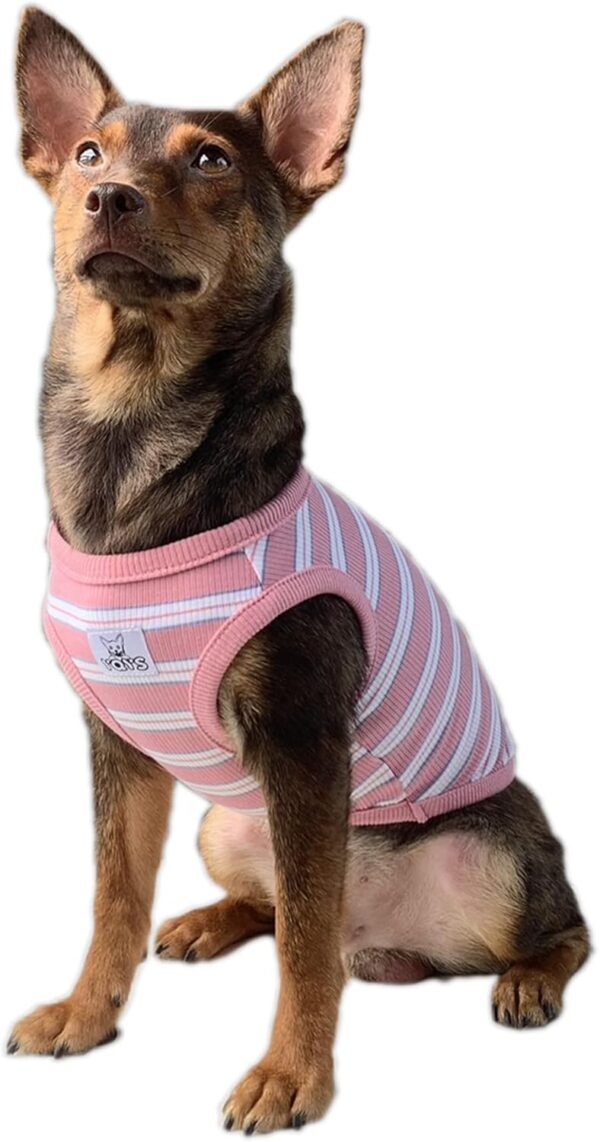 YQYS Dog Shirts Multi-Color Striped Cotton Vest for Small Dogs and Cats Puppy Clothes Teacup Dog Clothing Tank Top for Chihuahua Miniature Pinscher Pink XSmall - Image 3