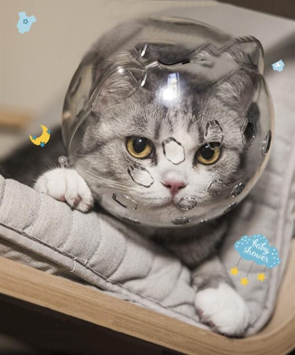 Cat Muzzle Breathable Cat Hood Adjustable Kitten Astronaut Transparent Helmet Prevent from Cats Biting Chewing Grooming Cat Bubbles Mask for Aggressive Cat (S) - Image 3