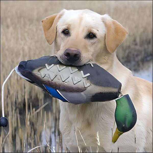 2 Pcs Duck Dummy Bumper Toys for Hunting Retriever Dog Training, Dog Retriever Outdoor Training Toy Duck，Hunting Duck Recognition Trainers, Foam Pet Dog Interactive Toys - Image 2