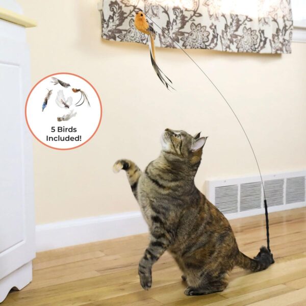 Interactive Bird Simulation Cat Toy Set, Interactive Cat Toys for Indoor Cats, Cat Feather Toy, Self-Holding Suction Base, 5 Replacement Birds, Feathers & Bells, Realistic Bird Impression - Image 3