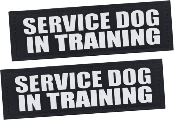 Service Dog Patches, 2Pack Black Removable Vest Patch for Dogs, Dog Patches with Hook Backing for Harness, Service Dog in Training-M