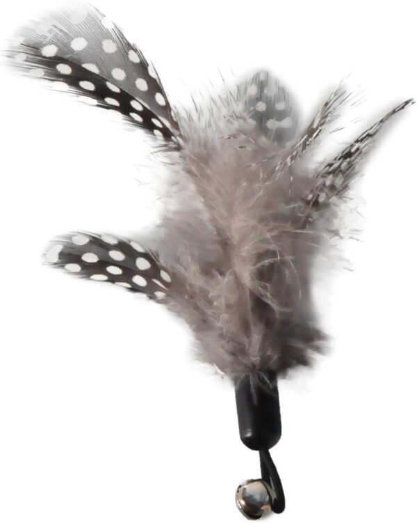 Cat Toys - No Chemical Dyeing Cat Feather Toys for Indoor Cats - Include Cat Wand and Natural Feather Refills - Image 9