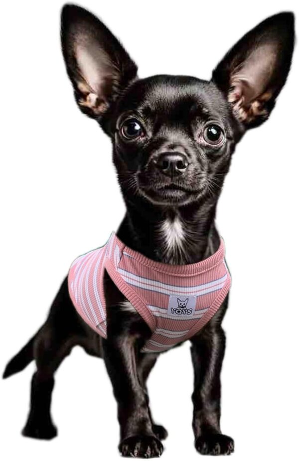 YQYS Dog Shirts Multi-Color Striped Cotton Vest for Small Dogs and Cats Puppy Clothes Teacup Dog Clothing Tank Top for Chihuahua Miniature Pinscher Pink XSmall