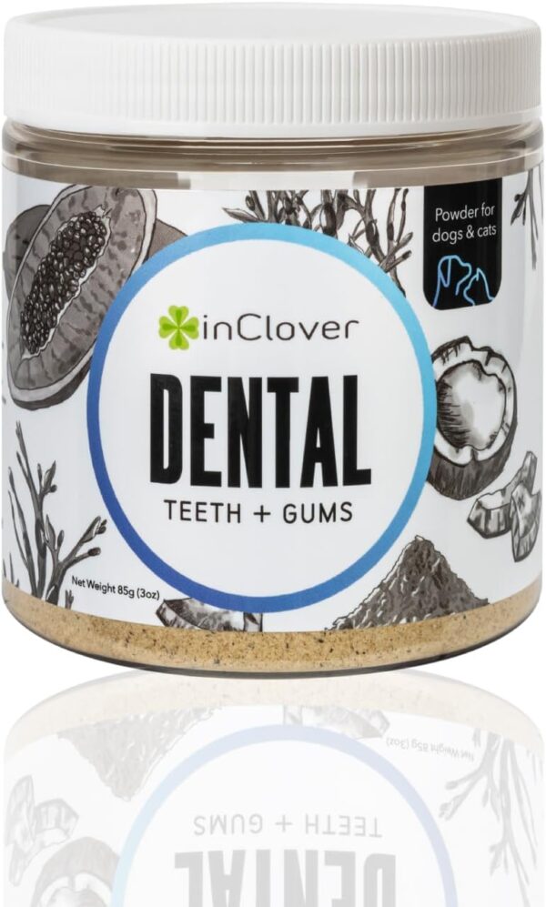 In Clover Dental Health Powder for Dogs and Cats, Natural Pet Supplement, BioBrilliant Dog and Cat Teeth Treat, Helps Dental Health, Daily Supplement for Pets, Natural Whey Goat Milk, Sweeten Breath