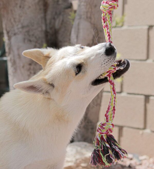 Pacific Pups 18 Piece Dog Toy Set - Plush, Rope & Chew Toys Support Non-Profit Dog Rescue - Image 9