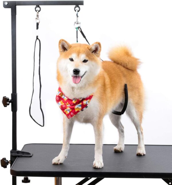 Breeze Touch Dog Grooming Arm - 35" Dog Grooming Table Arm with Clamp and Post, Loop Noose, No Sit Haunch Holder Grooming Restraint for Small & Medium Dogs