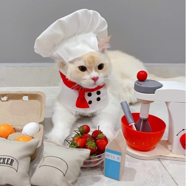 Pet Chef Hat - Adjustable Pet Cooking Chef Cap for Cats Dogs Chef Cloak Shirt Costume Set Pet Halloween Costume Outfit Prop Funny Chef Style Pet Headwear Pet Clothes Apparel Accessories (Small,White) - Image 4