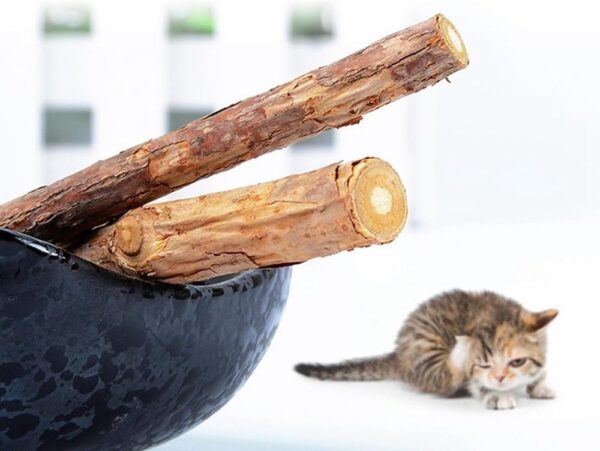 Silvervine Sticks for Cats, Natural Catnip Sticks Matatabi Chew Sticks Teeth Molar Chew Toys for Cat Kitten Kitty (at Least 12 PCS) - Image 7