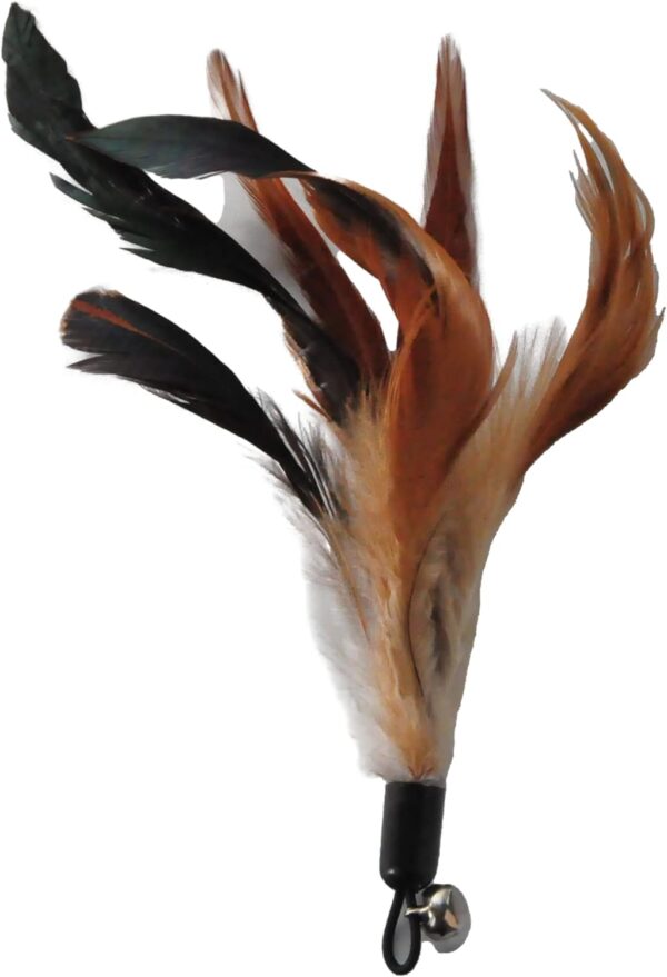 Cat Toys - No Chemical Dyeing Cat Feather Toys for Indoor Cats - Include Cat Wand and Natural Feather Refills - Image 7