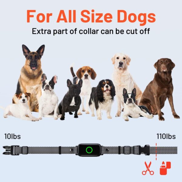 Shock Collar Dog Training Collar with Remote 3300ft Range Waterproof E Collar Rechargeable Electric Dog Shock Collar for Small Medium Large Dogs with Beep Vibration Shock and Light Dog Collar - Image 6