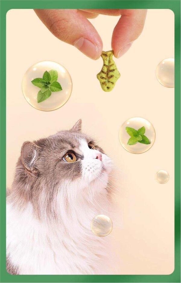 Catnip Cat Treats for Cats, Training Biscuits Treats for Hairball Control, Crunchy Fish Shape Catnip Treats for Indoor Cat