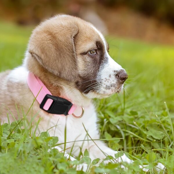 Pink Dog Collar Basic Adjustable Dog Collars for Puppy Small Medium Large Dogs Girls with Breathable Quick Release Nylon Pet Collar - Image 2