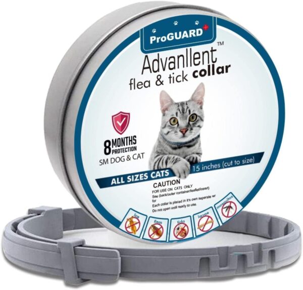 Flea Collar for Cats, Flea and Tick Collars for Cats and Kittens, 8 Month Protection, Gray, 1 PACK CAT